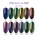 Professional factory wholesale chameleon nail supplies gel with 12 color